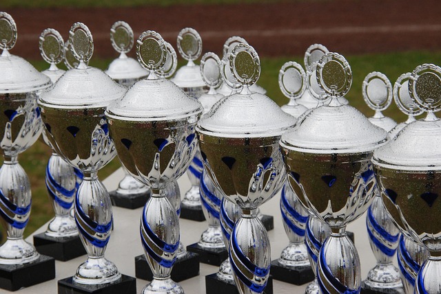 Premio 6