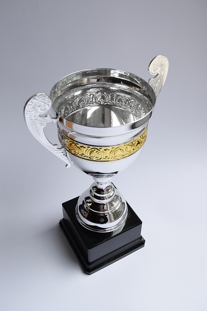 Premio 8
